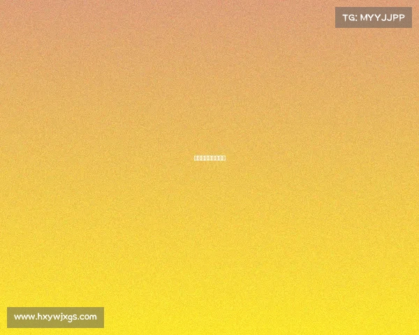 纳斯卡赛车比赛规则